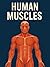 Overview about muscles: Mus...