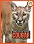 Cougar
