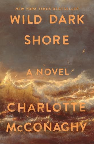 Wild Dark Shore (Paperback)