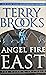 Angel Fire East (Word & Void, #3)