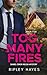 Too Many Fires: A Gay Mystery: Daniel Owen Welsh Mysteries 5