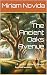 The Ancient Oaks Avenue by Miriam Novida