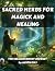 Sacred Herbs for Magick and...