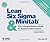 Lean Six Sigma and Minitab (8th Edition) by Quentin Brook