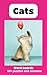 Cats, Pocket Size Word Sear...
