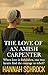 The Love of an Amish Carpenter by Hannah Schrock