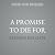 A Promise to Die For by Stephen Holgate A Promise to Die For by Stephen Holgate