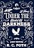 Under the Blanket of Darkness by R C Foth