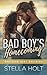 The Bad Boy’s Homecoming (The Southern Hart Brothers, #2) by Stella Holt