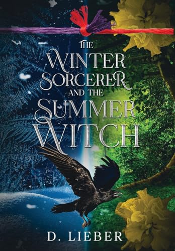 The Winter Sorcerer and the Summer Witch (Hardcover)