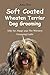 Soft Coated Wheaten Terrier Dog Grooming by Joshua Ford