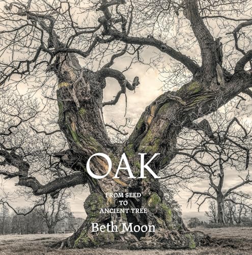 Oak: From Seed to Ancient Tree (Hardcover)