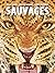 Sauvage