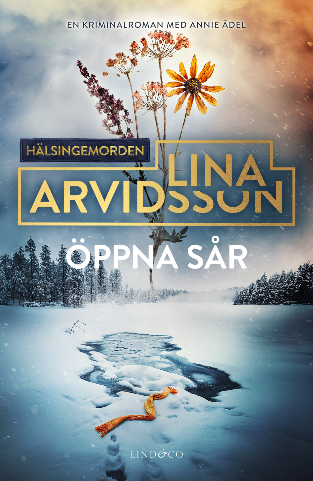 Öppna sår (Hälsingemorden #3)