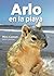 Arlo en la playa