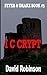 I C Crypt: Feyer & Drake Book #3
