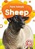 Sheep - Farm Animals, Engaging Introduction Non-Fiction Reading for Kindergarten - Blastoff! Beginners Collection