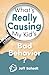 What's Really Causing My Kid's Bad Behavior by Jeff Schadt