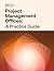 Project Management Offices: A Practice Guide