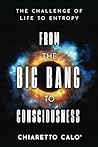From the Big Bang to Consciousness: The Challenge of Life to Entropy