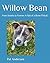 Willow Bean