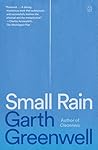 Small Rain