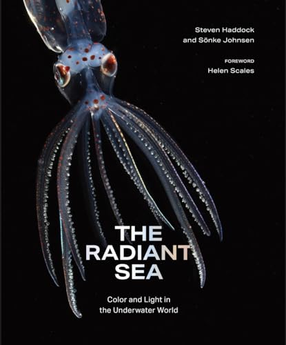The Radiant Sea: Color and Light In the Underwater World (Hardcover)
