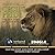 Cecil's Pride by Craig Hatkoff