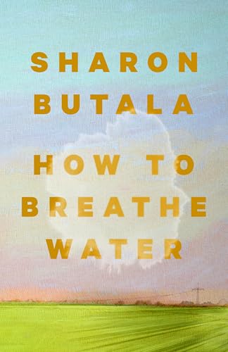How to Breathe Water (Paperback)