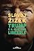 Trump e il fascismo liberale (Italian Edition)