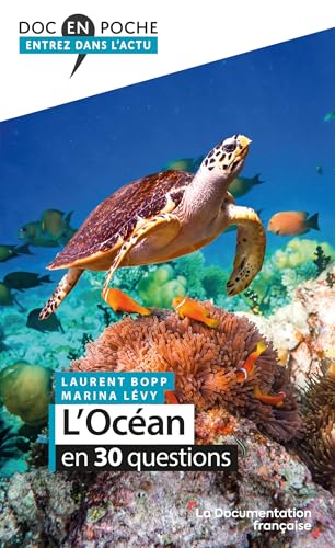 L'océan en 30 questions (French Edition)