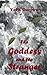 The Goddess and the Stranger by York Darrow