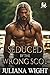 Seduced by the Wrong Scot by Juliana Wight