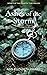 Ashes of the Storm (The Stars of Time #3)