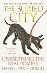 The Buried City: ...