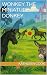 Wonkey the Miniature Donkey