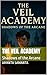 The Veil Academy: Shadows o...