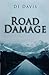 Road Damage