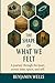 The Shape of What We Felt by Benjamin Wells