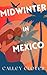Midwinter in Mexico