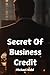 Secret Of Business Credit