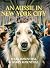 An Aussie in New York City