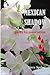 Mexican Shadow by Terry Spring