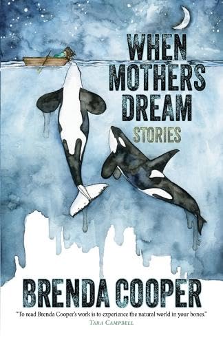 When Mothers Dream (Paperback)