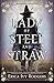 Lady of Steel and Straw by Erica Ivy Rodgers