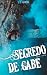 Segredo de Gabe (Banda Heathens Livro 2) by L. C. Almeida