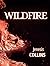 Wildfire