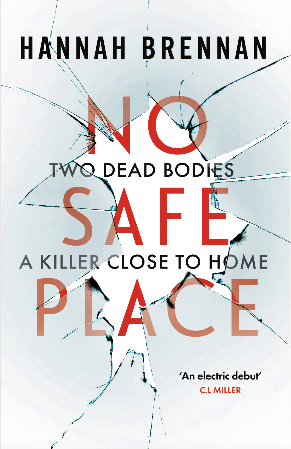 No Safe Place (Detective Liz Field #1)