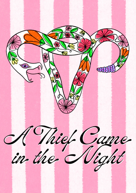 A Thief Came in the Night