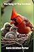 The Song Of The Cardinal